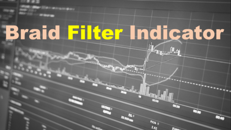 Braid Filter Indicator